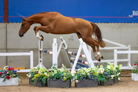 The Billy Stud Auction