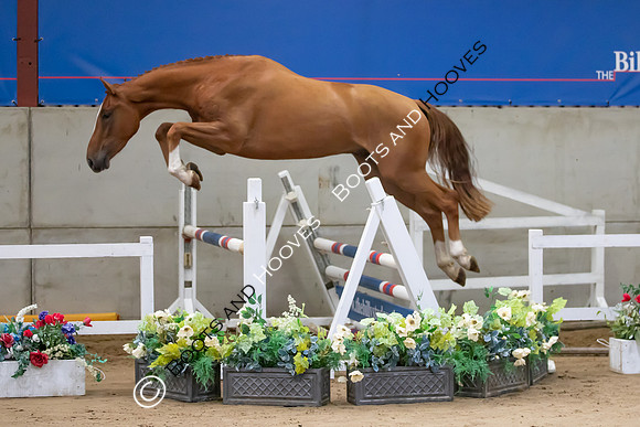 The Billy Stud Auction