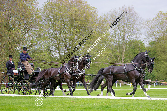 The Royal Windsor Horse Show