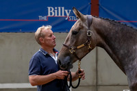 The Billy Stud Auction