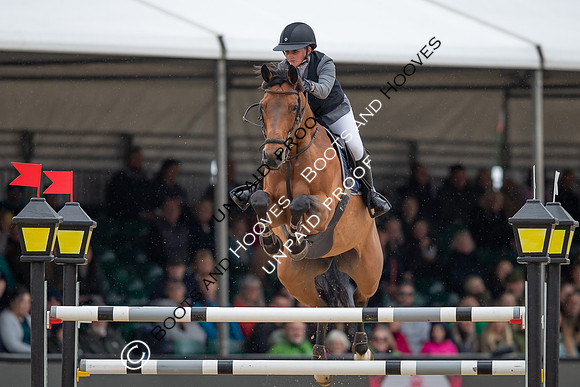 The Royal Windsor Horse Show