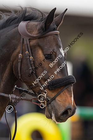The Royal Windsor Horse Show