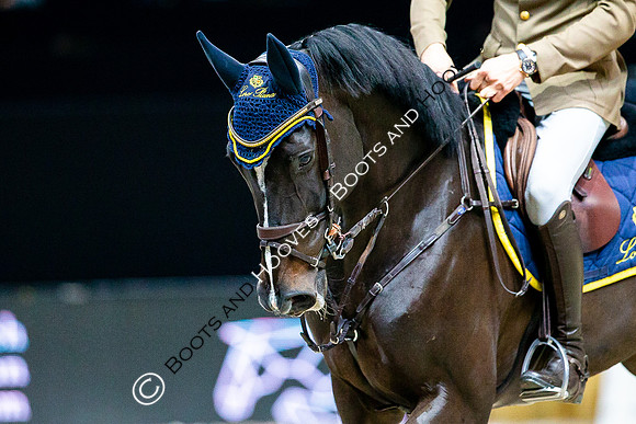 Showjumping