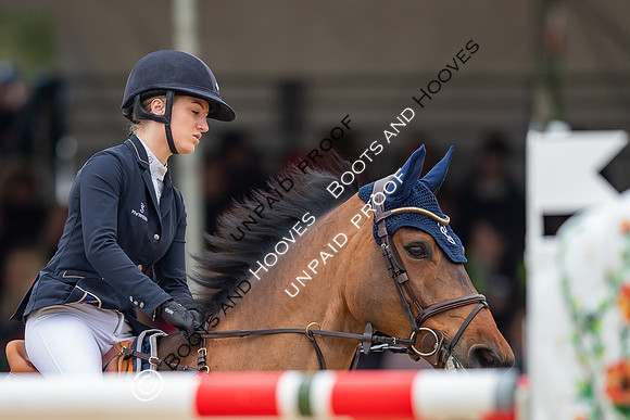 The Royal Windsor Horse Show