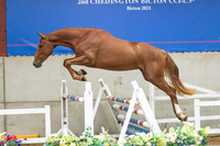 The Billy Stud Auction