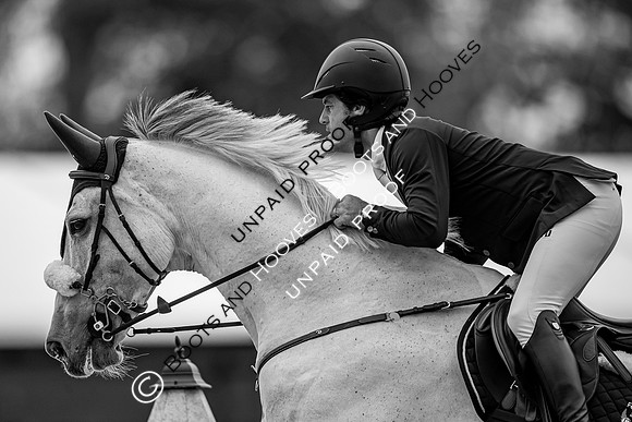 The Royal Windsor Horse Show
