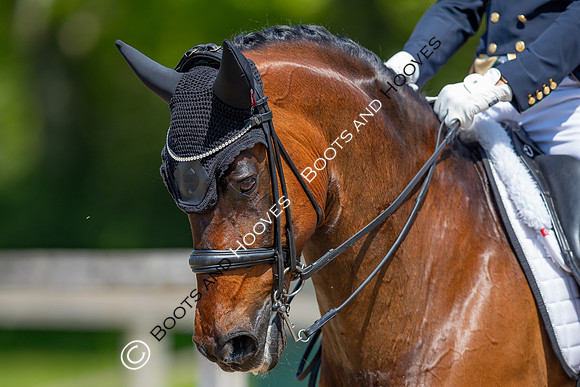 I.C.E. HORSEBOXES ALL ENGLAND DRESSAGE FESTIVAL 2023