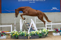 The Billy Stud Auction