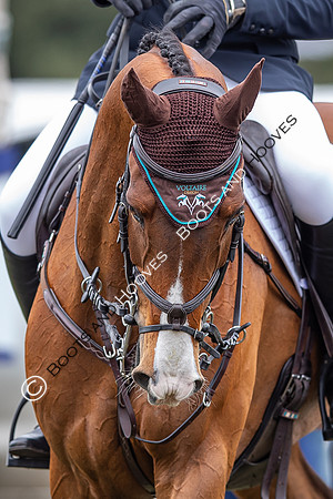Badminton Horse Trials presented by Mars Equestrian