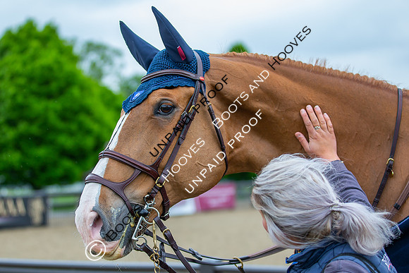 The Royal Windsor Horse Show