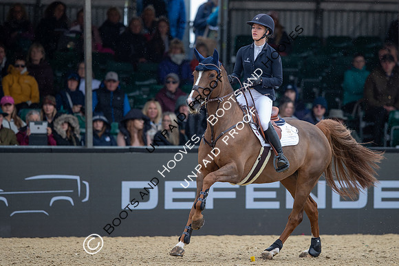 The Royal Windsor Horse Show