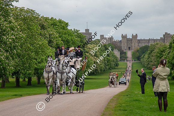 The Royal Windsor Horse Show