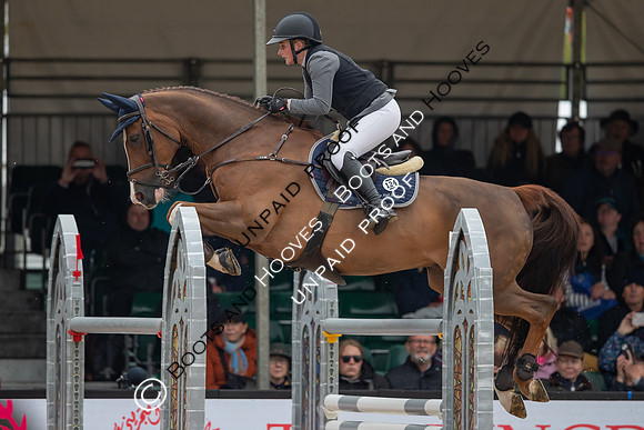 The Royal Windsor Horse Show
