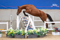The Billy Stud Auction