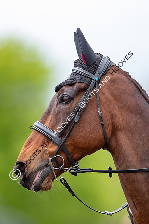 Badminton Horse Trials presented by Mars Equestrian