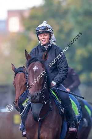 Newmarket