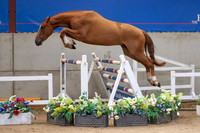 The Billy Stud Auction