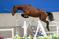 The Billy Stud Auction