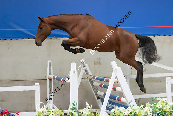 The Billy Stud Auction