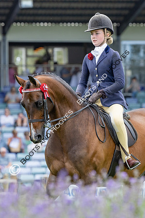 The Agria Royal International Horse Show