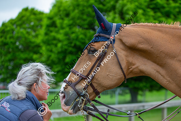 The Royal Windsor Horse Show