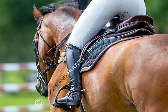 Science Supplements All England Jumping Championships
