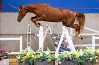 The Billy Stud Auction