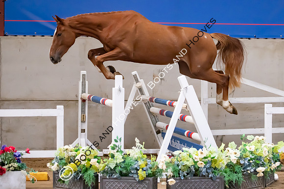 The Billy Stud Auction