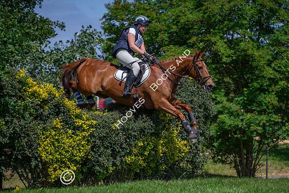 The Childeric Saddles Little Downham (1)