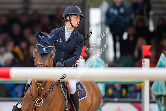 The Royal Windsor Horse Show