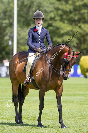 The Agria Royal International Horse Show