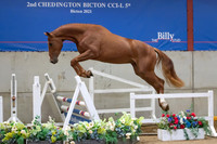 The Billy Stud Auction