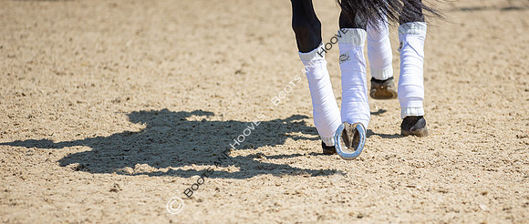 I.C.E. HORSEBOXES ALL ENGLAND DRESSAGE FESTIVAL 2023