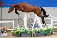 The Billy Stud Auction