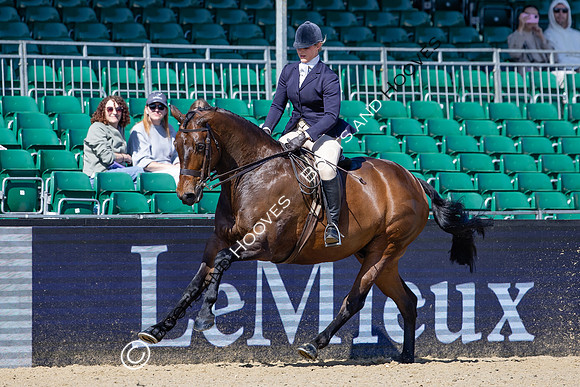 Royal Windsor Horse Show