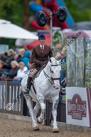 The Royal Windsor Horse Show
