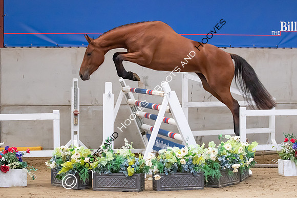 The Billy Stud Auction