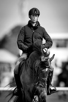 The Royal Windsor Horse Show