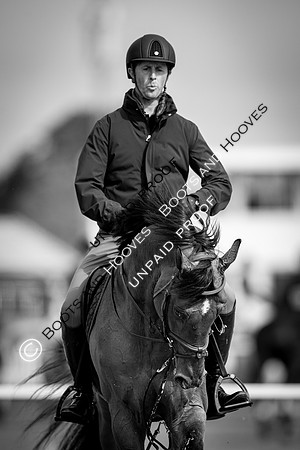The Royal Windsor Horse Show