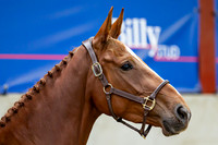 The Billy Stud Auction