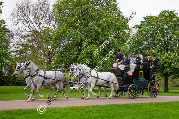 The Royal Windsor Horse Show