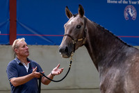 The Billy Stud Auction