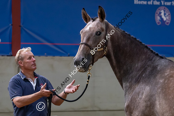 The Billy Stud Auction