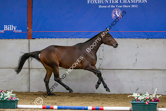The Billy Stud Auction
