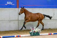 The Billy Stud Auction