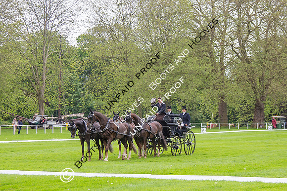 The Royal Windsor Horse Show