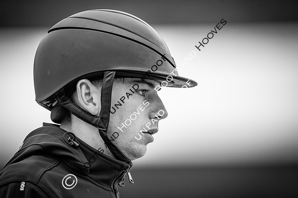 The Royal Windsor Horse Show
