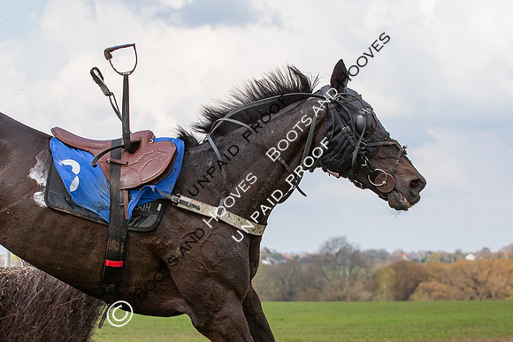 High Easter Point to Point