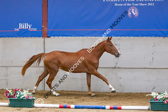 The Billy Stud Auction