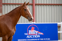 The Billy Stud Auction